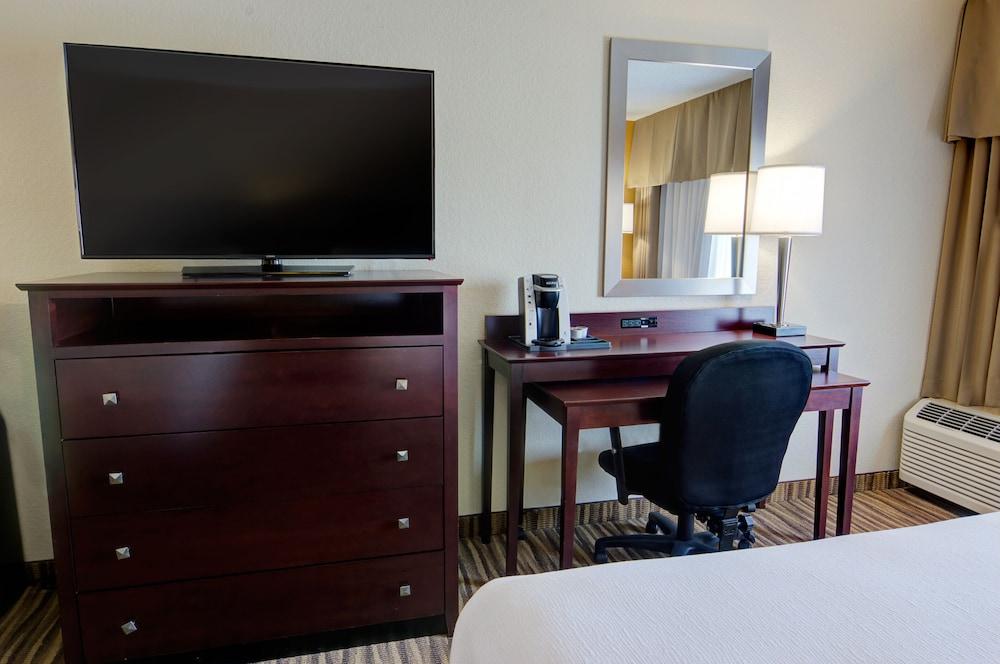 Holiday Inn St Petersburg N - Clearwater by IHG photo 4