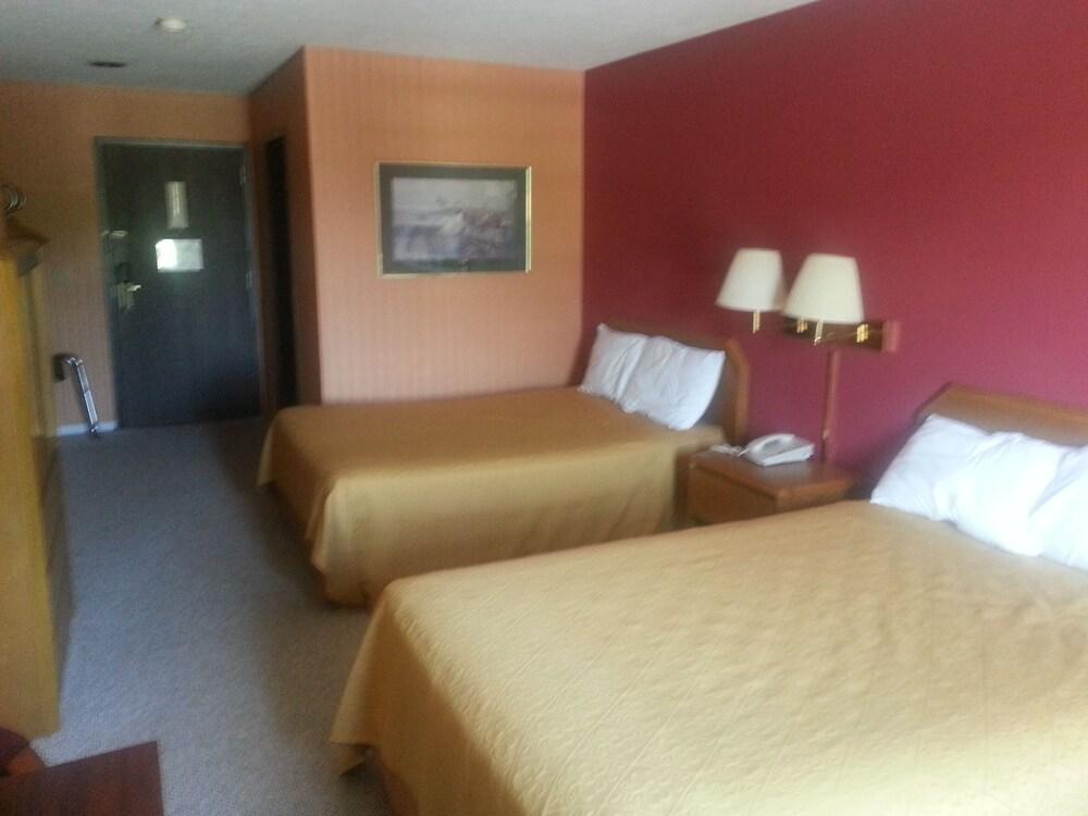 Americourt Hotel photo 10
