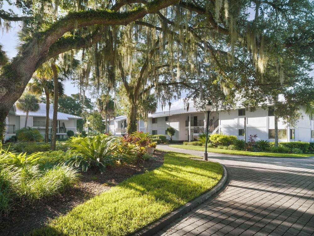 Saddlebrook Resort photo 46