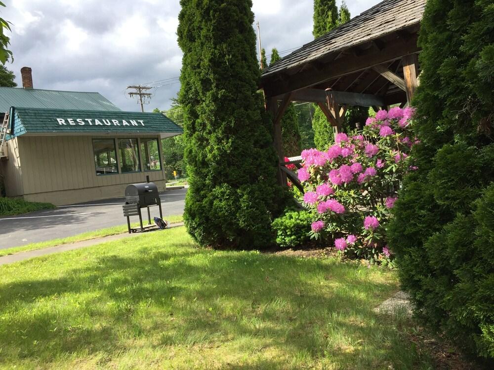 Adirondack Oasis Motel photo 10