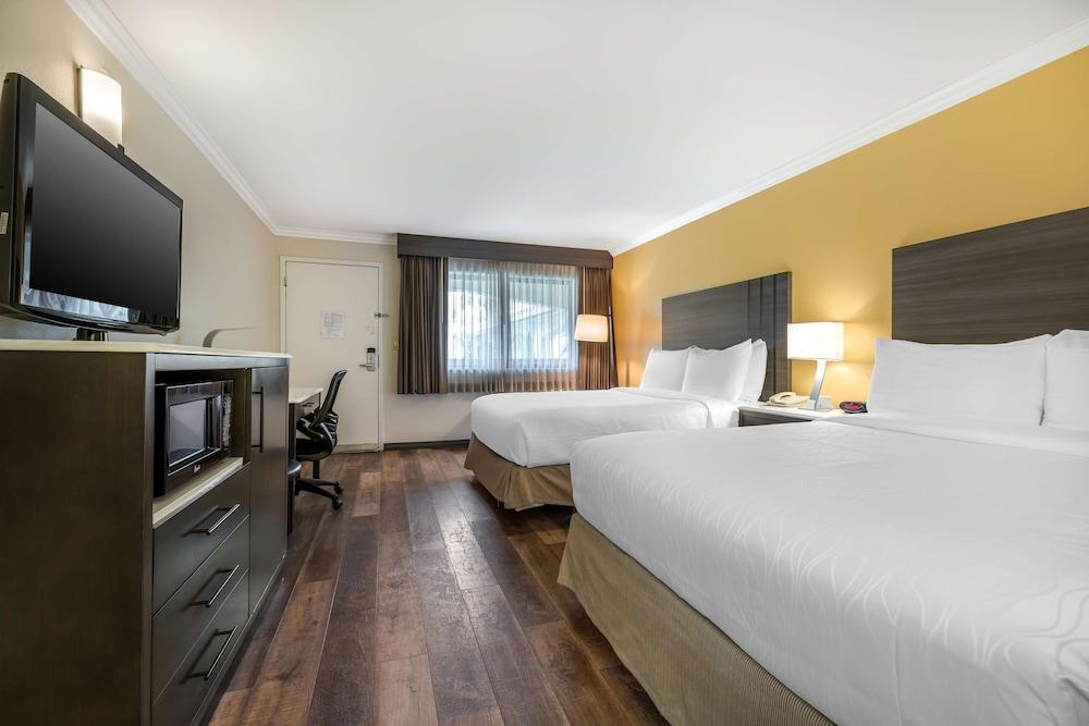Best Western Plus Orange County Airport North photo 15
