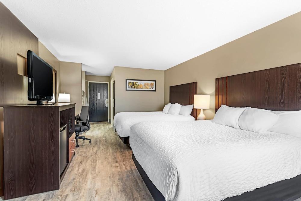 Black Bear Inn, an Ascend Collection Hotel photo 10