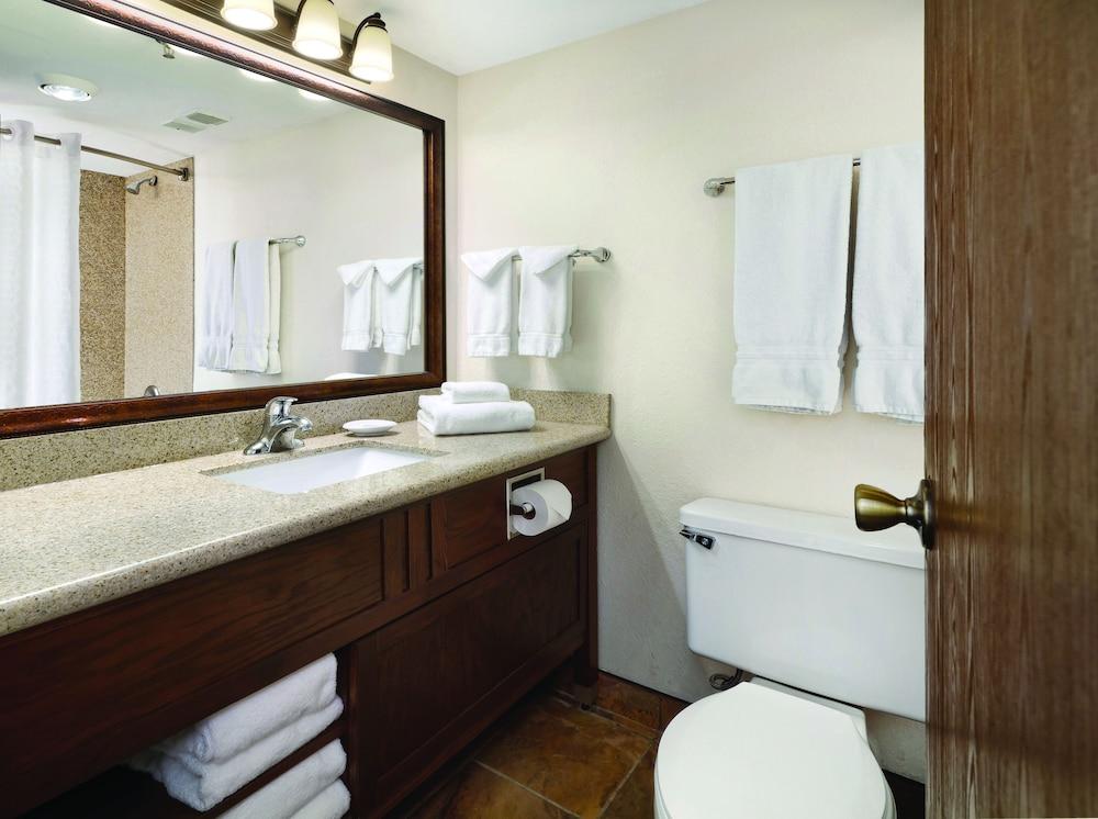 Ramkota Hotel & Conference Center photo 13