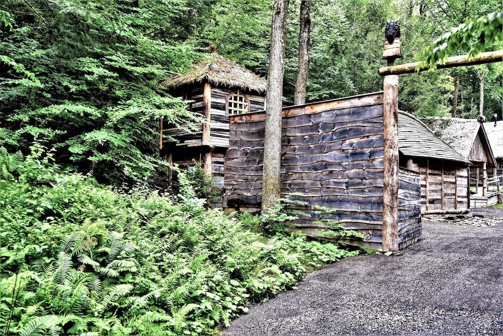 Vikings Villages Resort photo 45