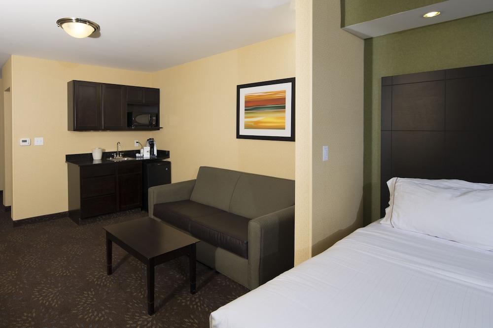 Holiday Inn Express & Suites Detroit North - Troy by IHG photo 2