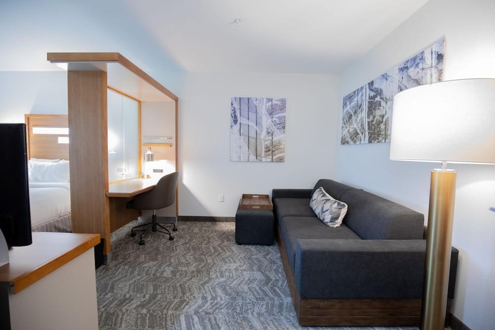 SpringHill Suites by Marriott Baton Rouge Gonzales photo 12