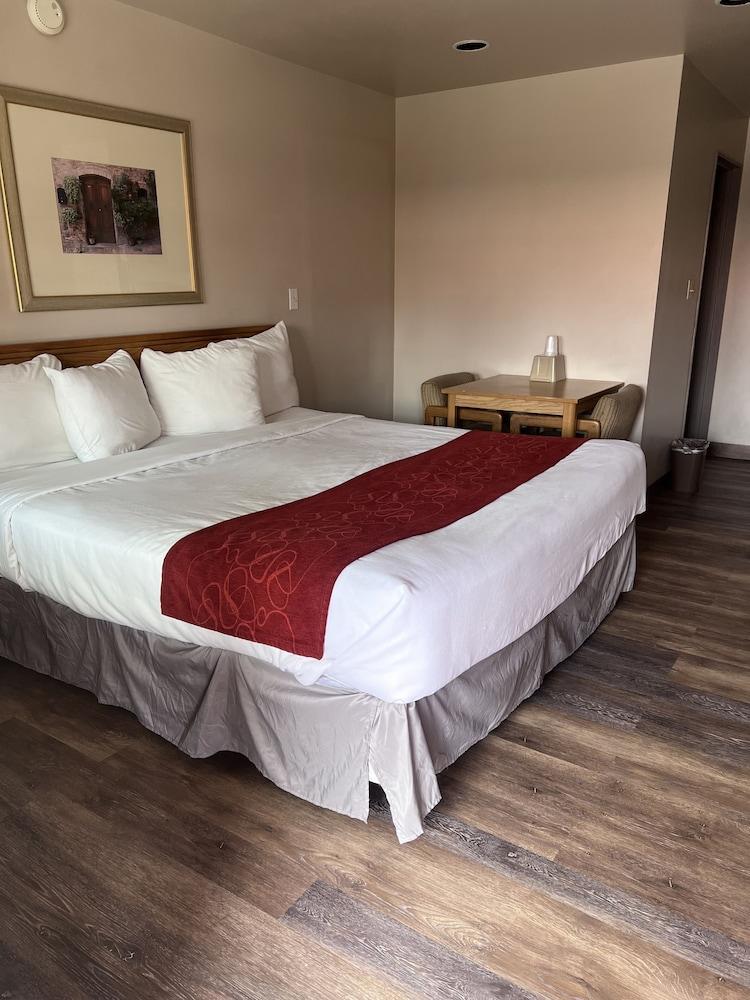 Adobe Inn photo 8