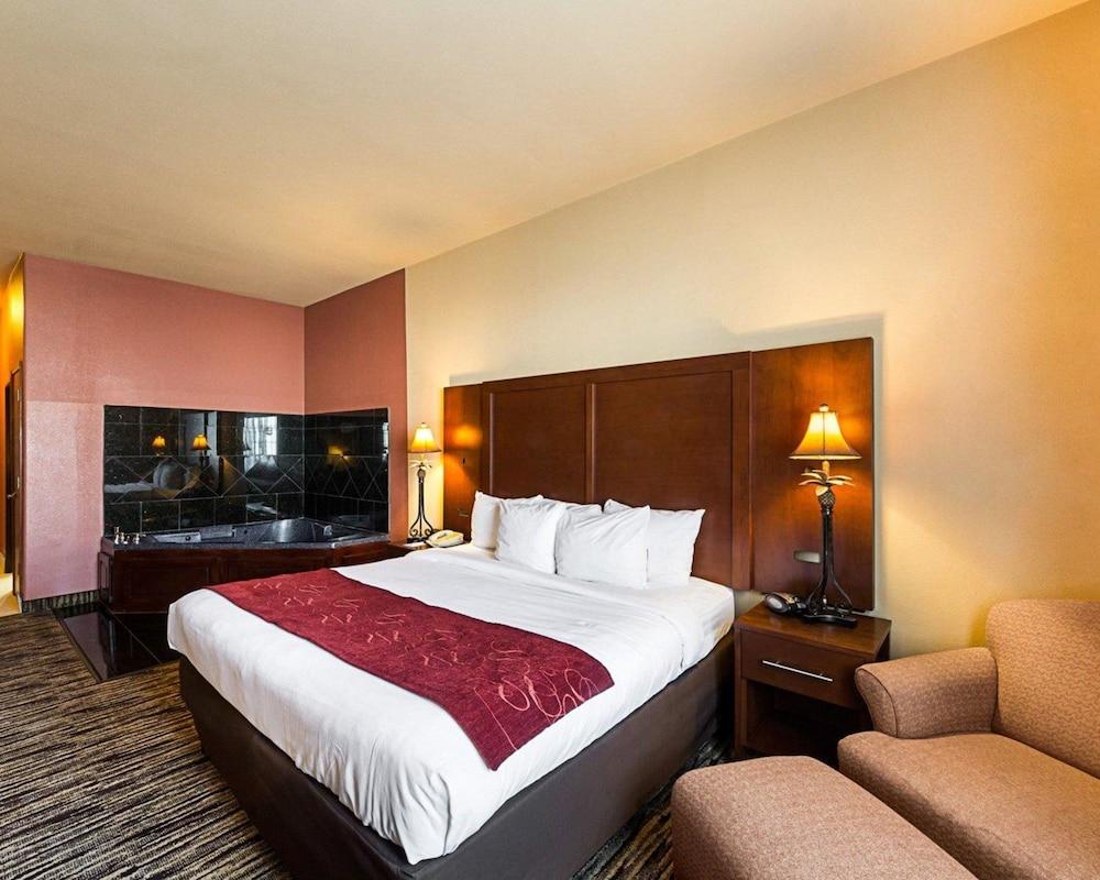 Comfort Suites McAllen photo 32