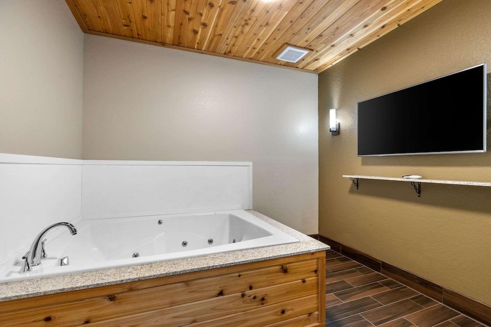 Comfort Inn & Suites Cedar Rapids CID Eastern Iowa Airport photo 3