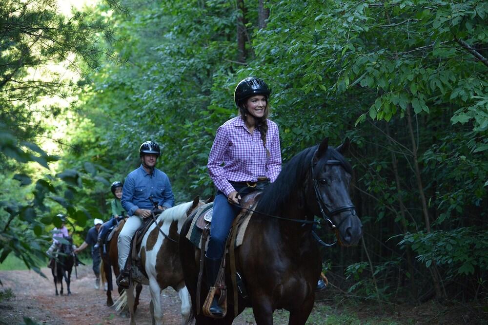 Bright's Creek Lodge photo 9