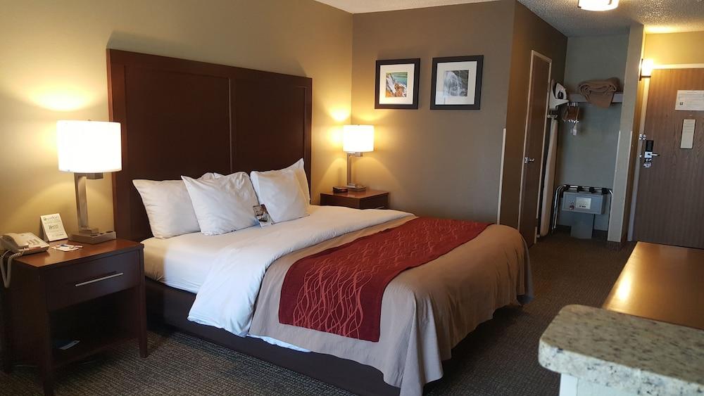 Comfort Inn Idaho Falls photo 6