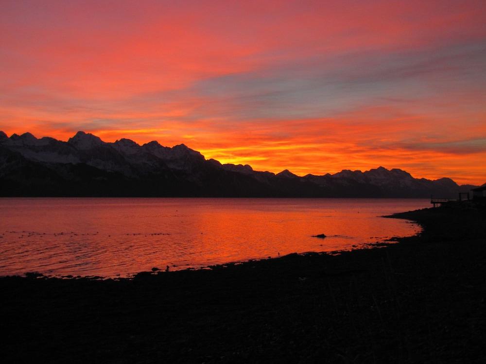 Angels Rest on Resurrection Bay LLC photo 54