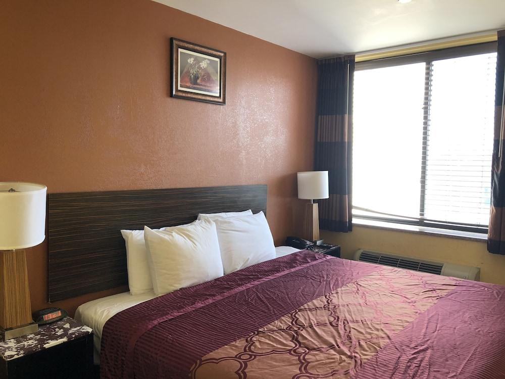 The Vue Hotel Express photo 6