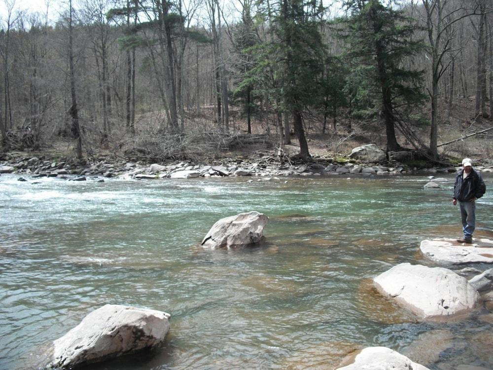 Black Bear Lodge photo 21