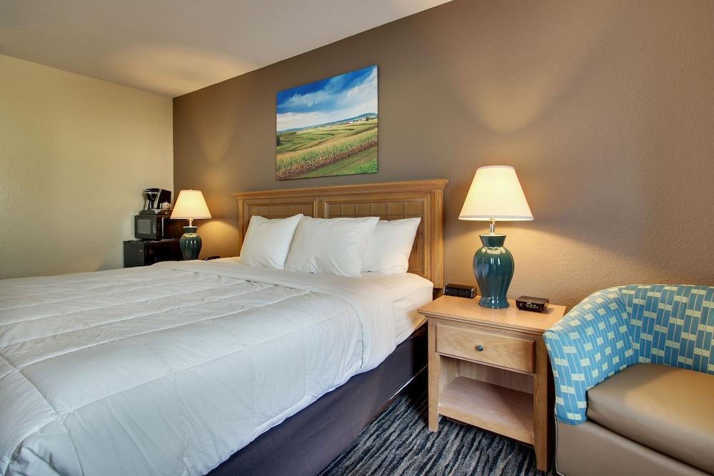 EverSpring Inn & Suites photo 13