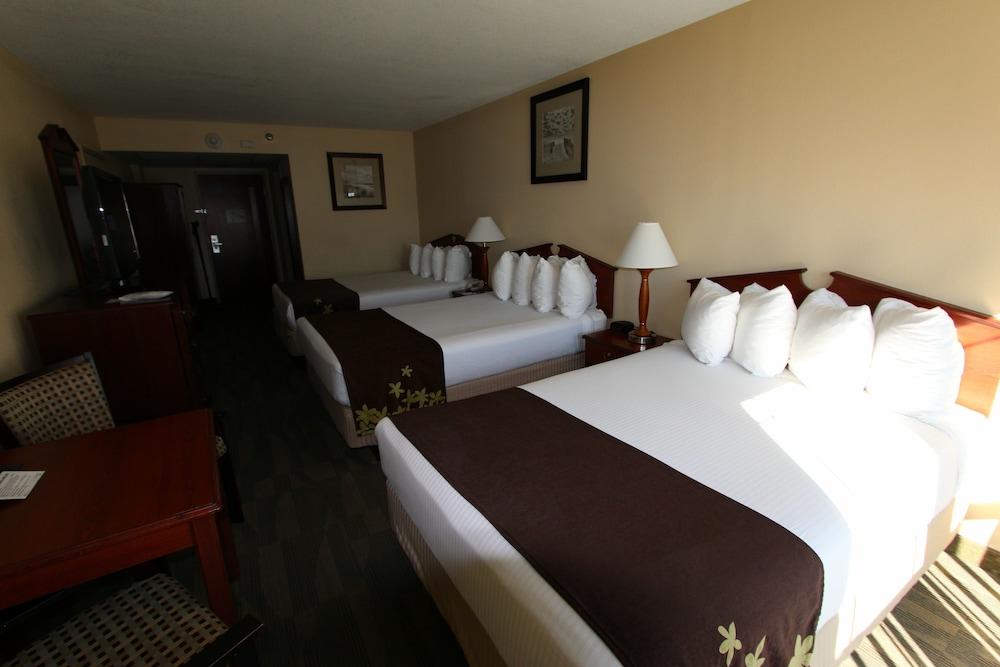 Gold Leaf Hotel of Dewey - Rehoboth Beach photo 8