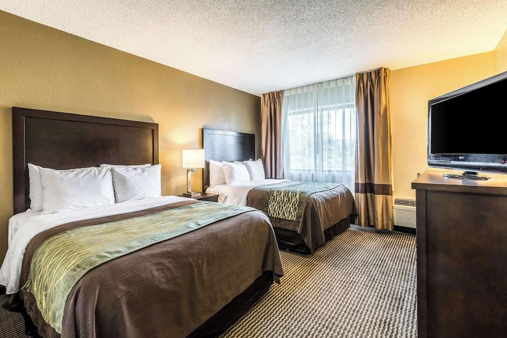 Comfort Inn Detroit Downtown photo 14
