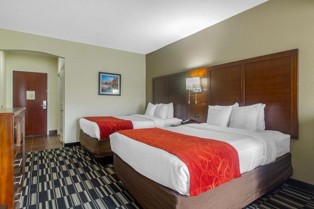 Comfort Suites Danville photo 8