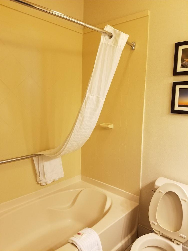 Comfort Suites McAllen photo 31