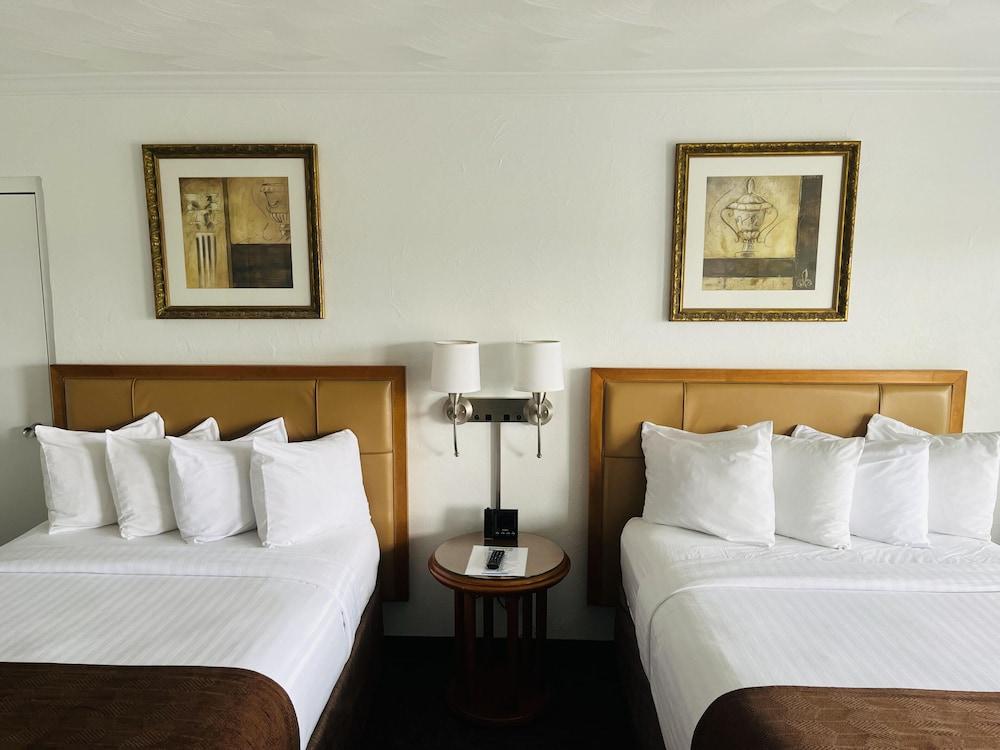 The Pines Country Inn photo 3