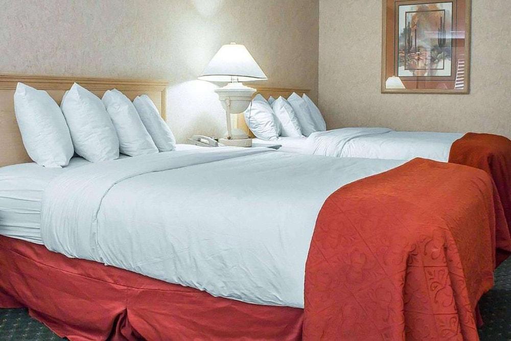 La Quinta Inn & Suites by Wyndham Safford Copper Valley photo 4