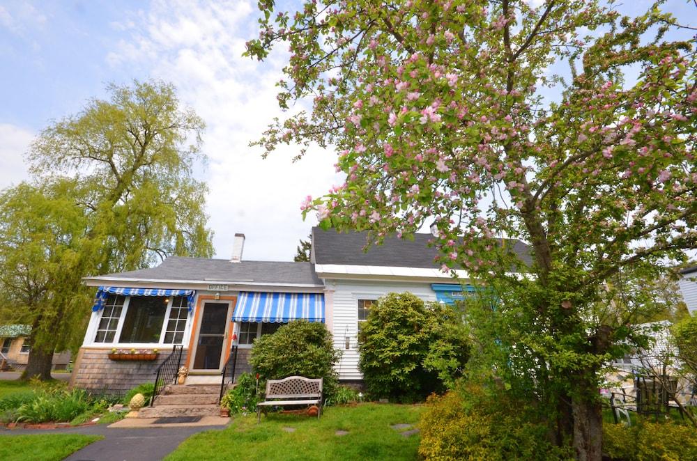 Shorelands Guest Resort and Cottages photo 50