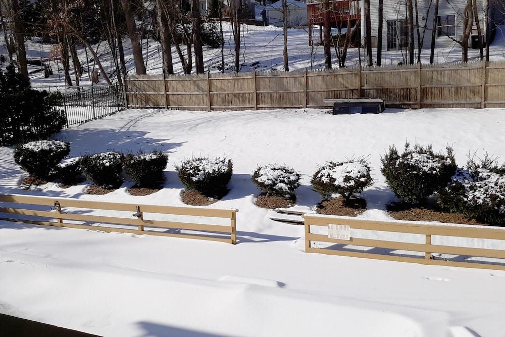 Iron Horse Inn photo 10