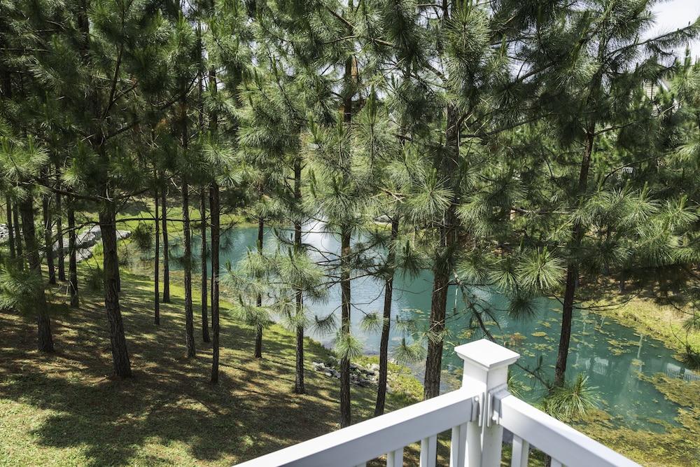 King’s Creek Resort by Spinnaker photo 26