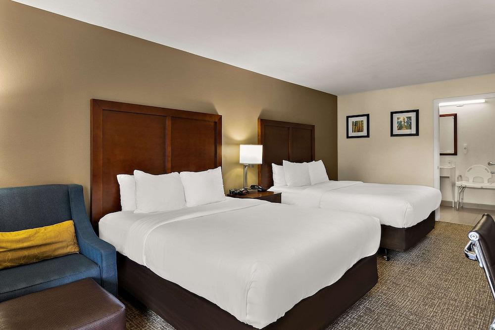 Comfort Inn & Suites Sequoia/Kings Canyon photo 7