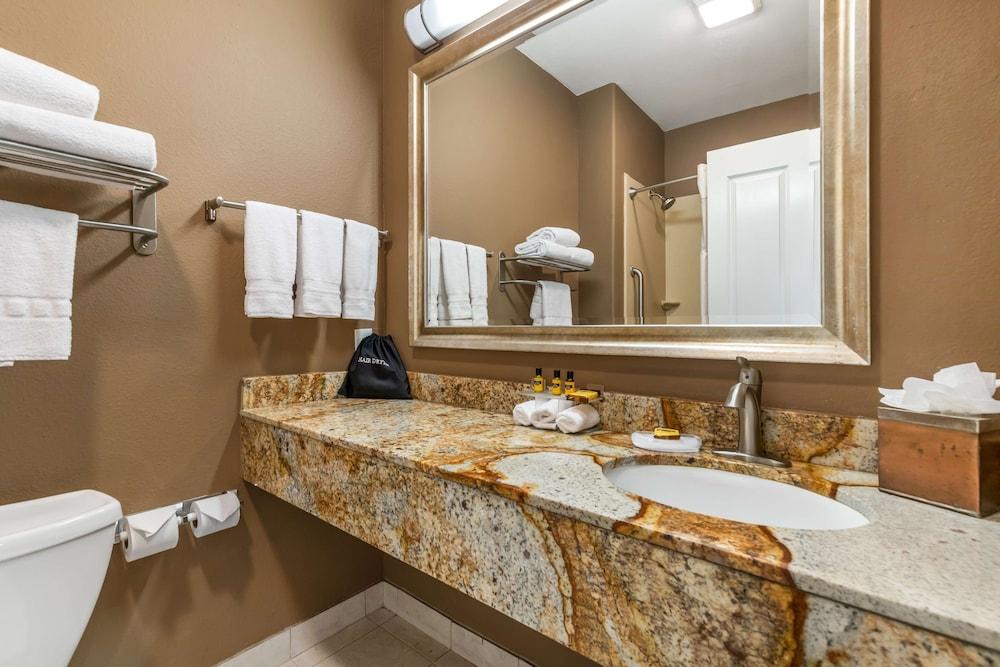 Best Western Plus Lytle Inn & Suites photo 29