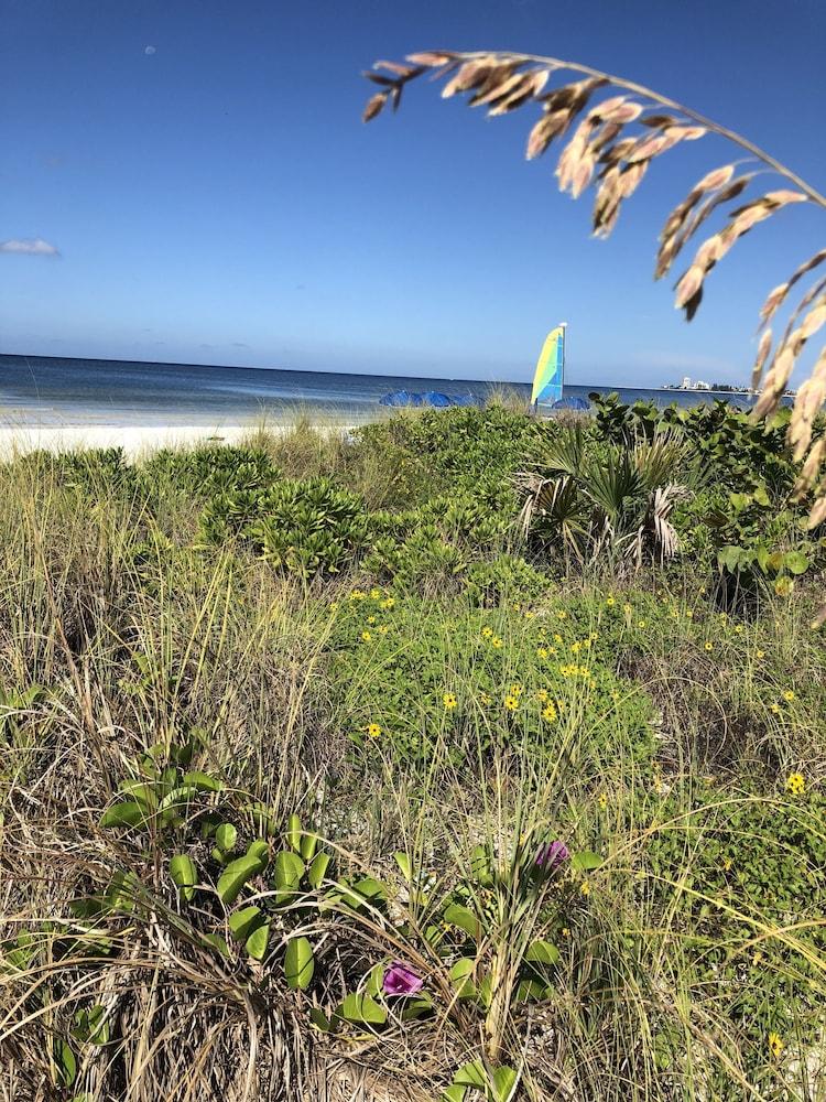 Siesta Palms By the Beach photo 17