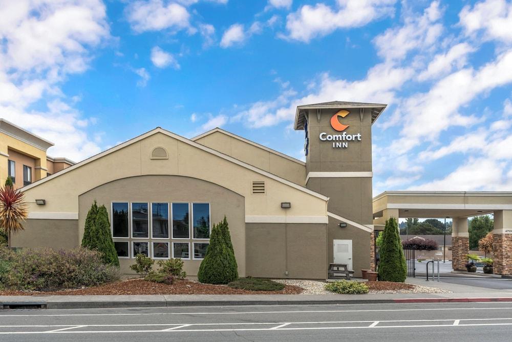 Comfort Inn Arcata - Humboldt Area photo 40