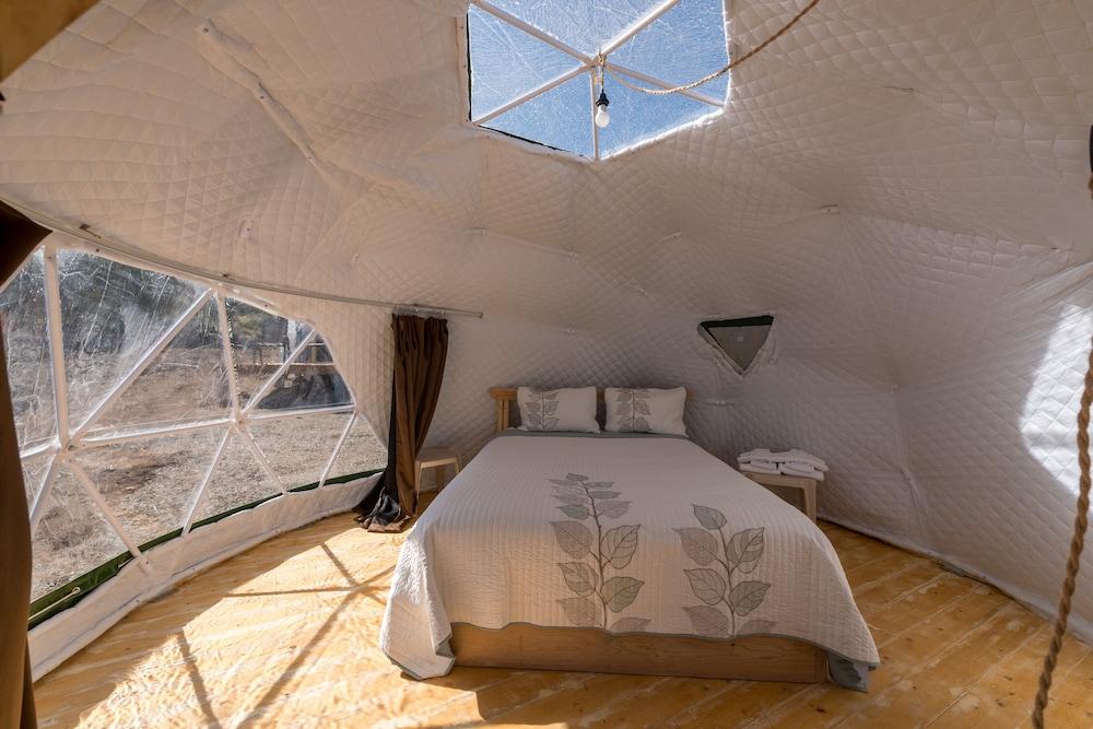 Great Sand Dunes Lodge photo 79
