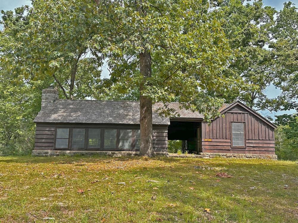 Pin Oak photo 1