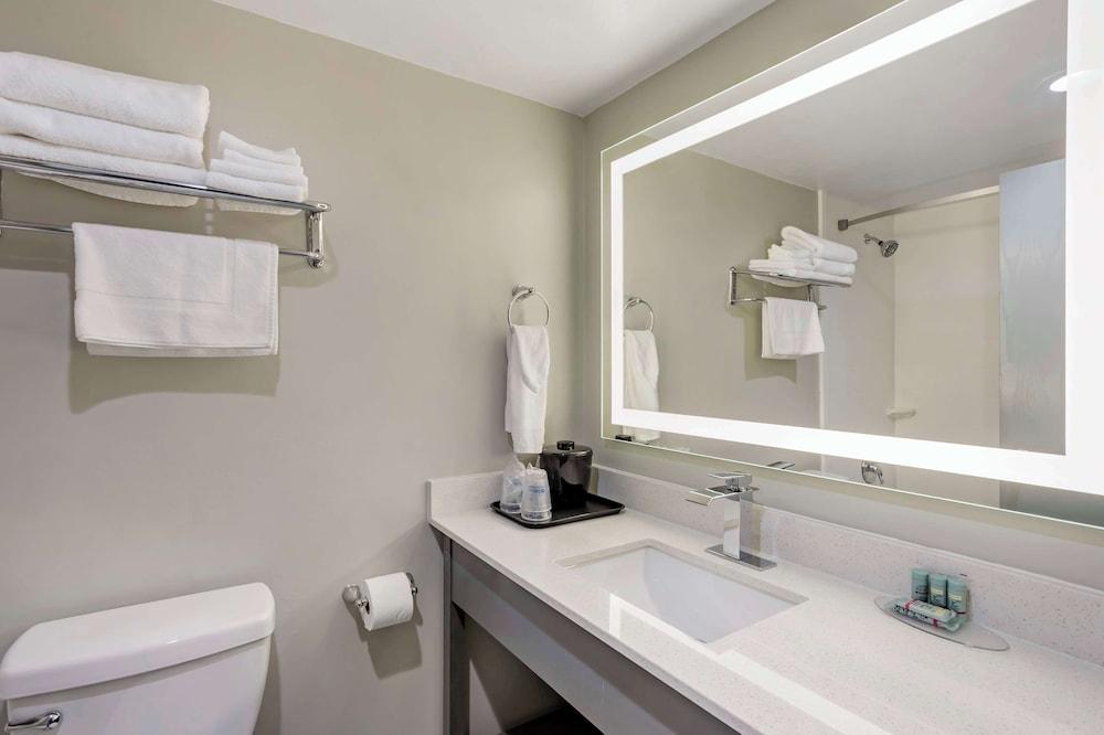 Best Western Rutgers University Hotel photo 35