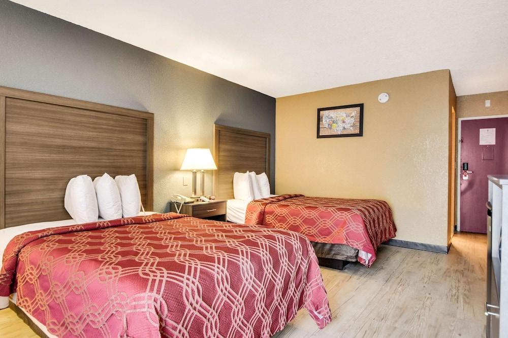 Econo Lodge Tampa near Busch Gardens photo 50