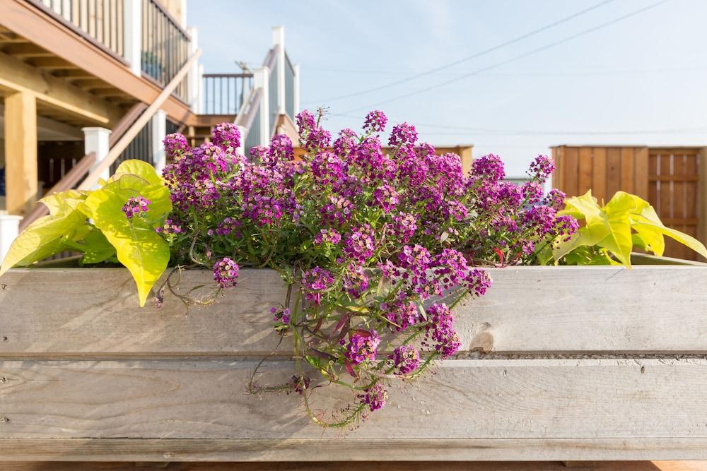 Aqualina Inn Montauk photo 93