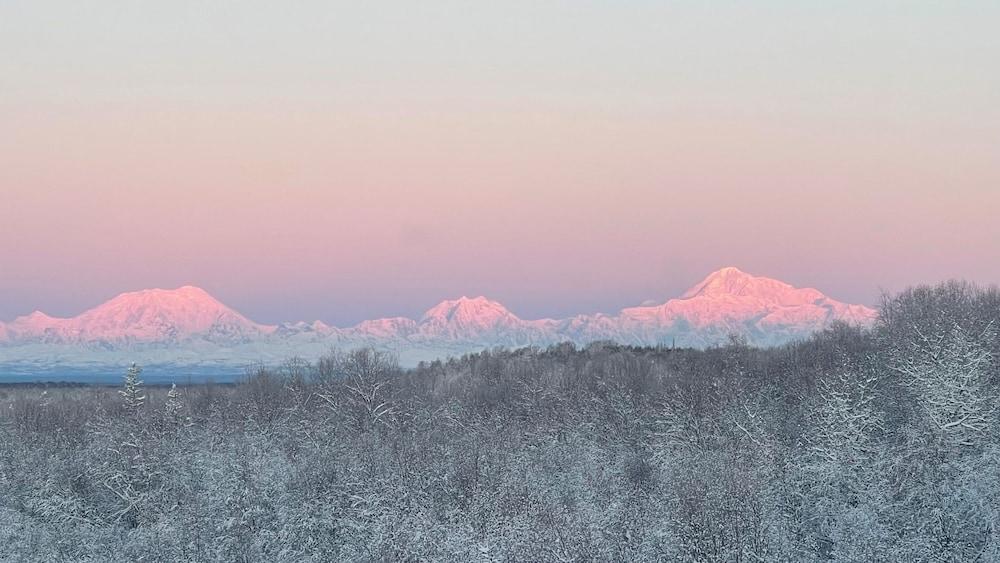 Talkeetna Denali View Lodge and Cabins photo 34