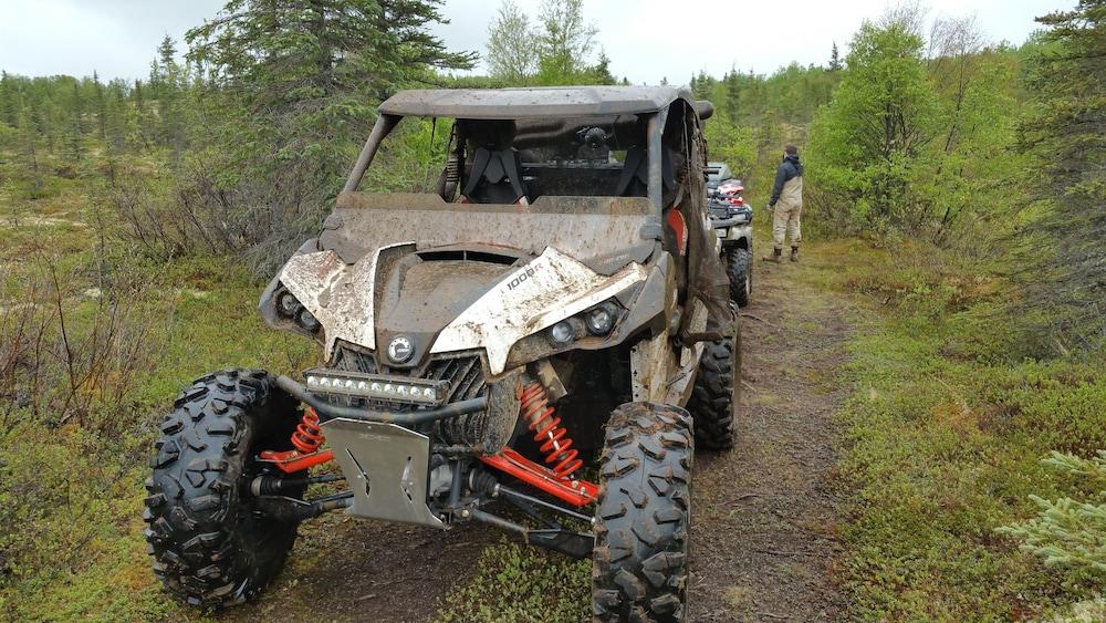 Alaska's Gold Creek Lodge photo 16