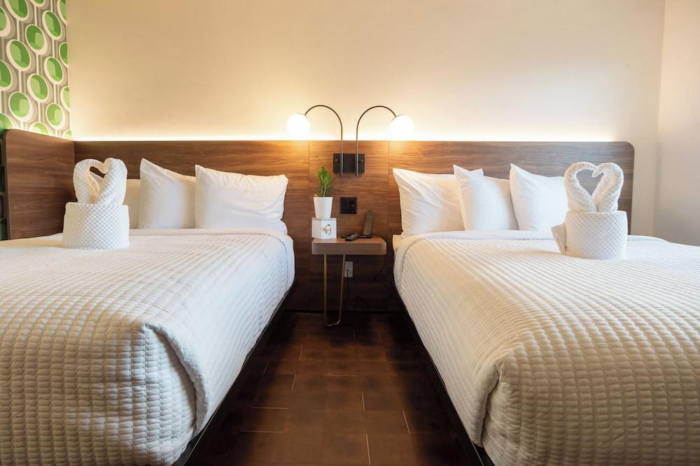 The Alice Hotel photo 16