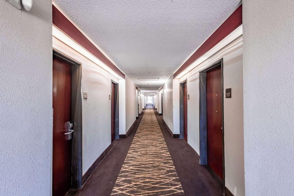 Clarion Pointe photo 43