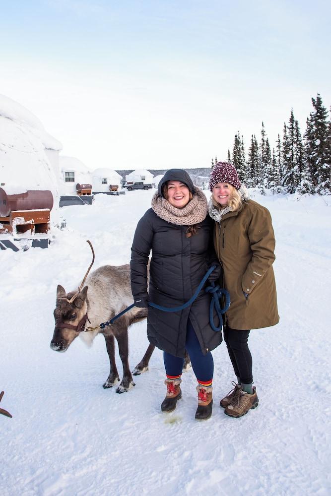 Borealis Basecamp photo 23
