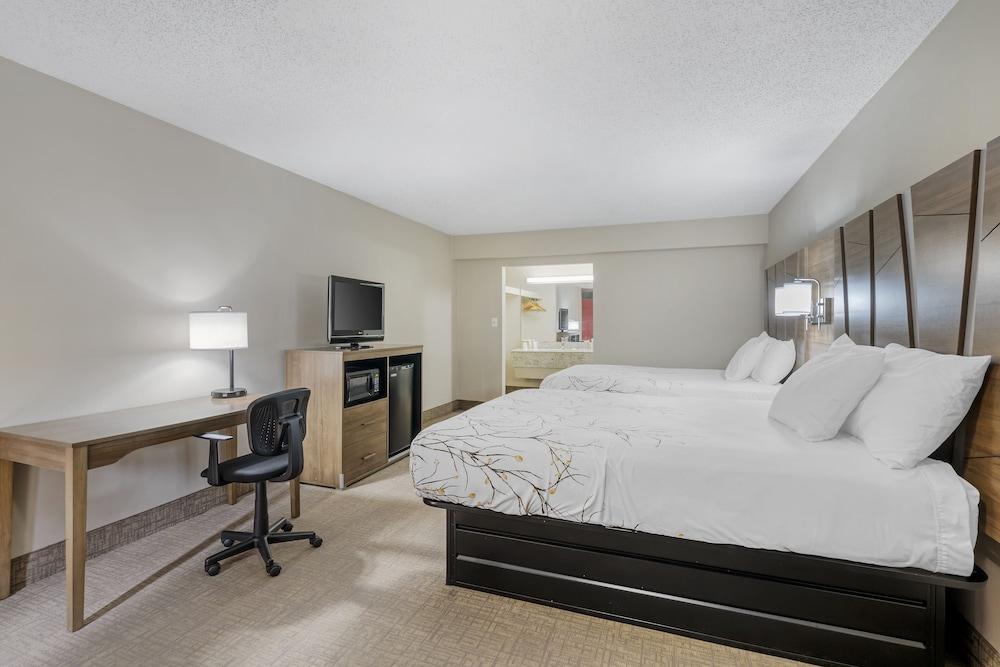 Rodeway Inn Homosassa photo 30
