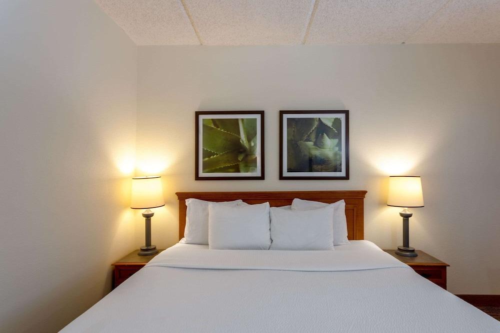 La Quinta Inn & Suites by Wyndham Jacksonville Mandarin photo 33