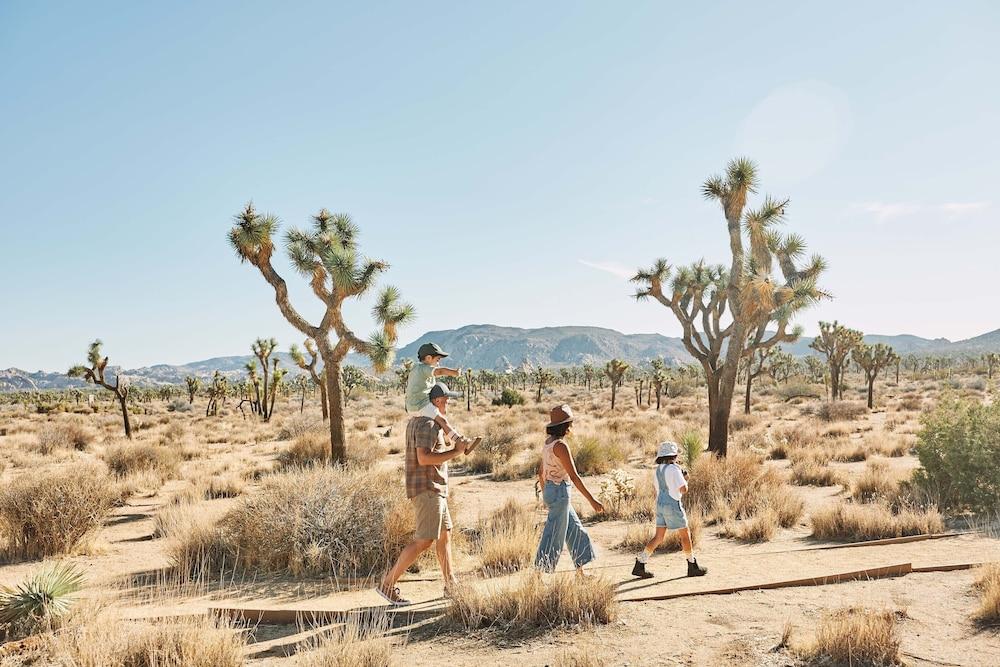 Field Station Joshua Tree photo 31