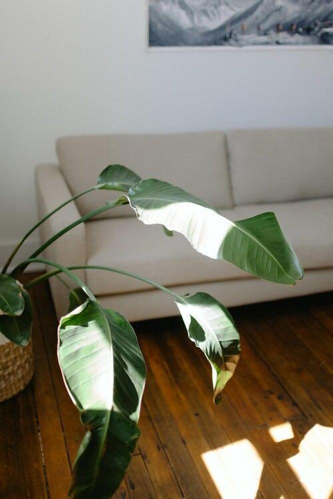 Culture Boutique Hotel photo 27