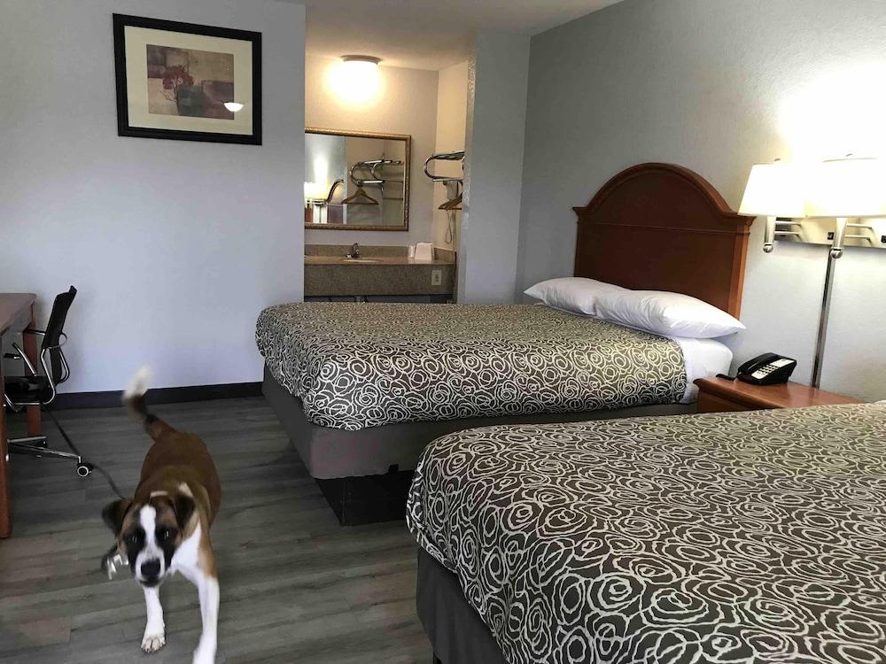 Walnut Inn Motel photo 11