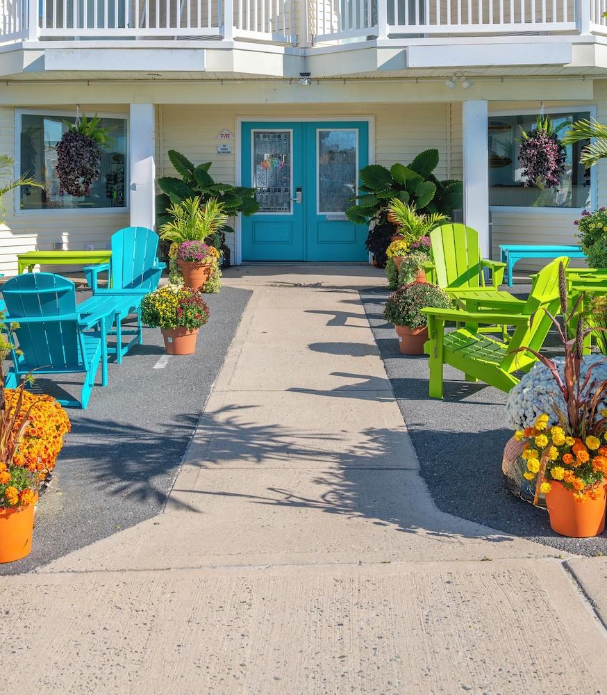 The Beach House at Drifting Sands photo 2