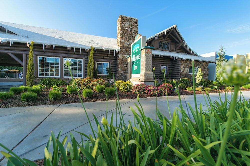 Alpine Inn photo 35