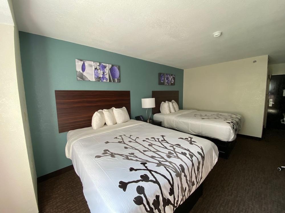 Sleep Inn Jacksonville Airport photo 8
